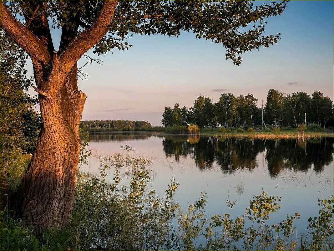 Наслаждайтесь великолепными пейзажами и откройте для себя прекрасные места для отдыха в Курганской области