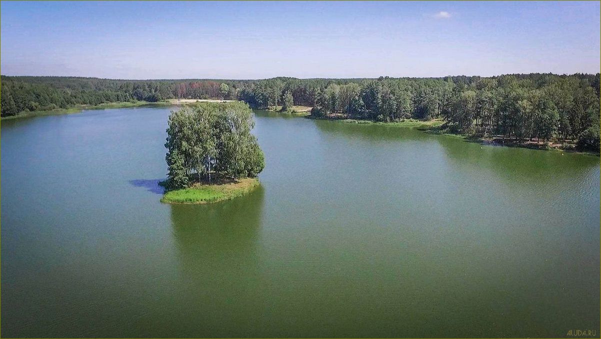 Прекрасные возможности для отдыха на берегу реки и озера в живописной Брянской области