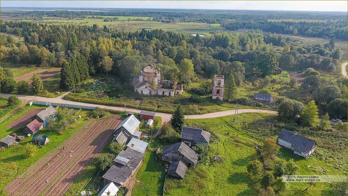 Незабываемый отпуск — отзыв о прекрасном отдыхе в Новгородской области