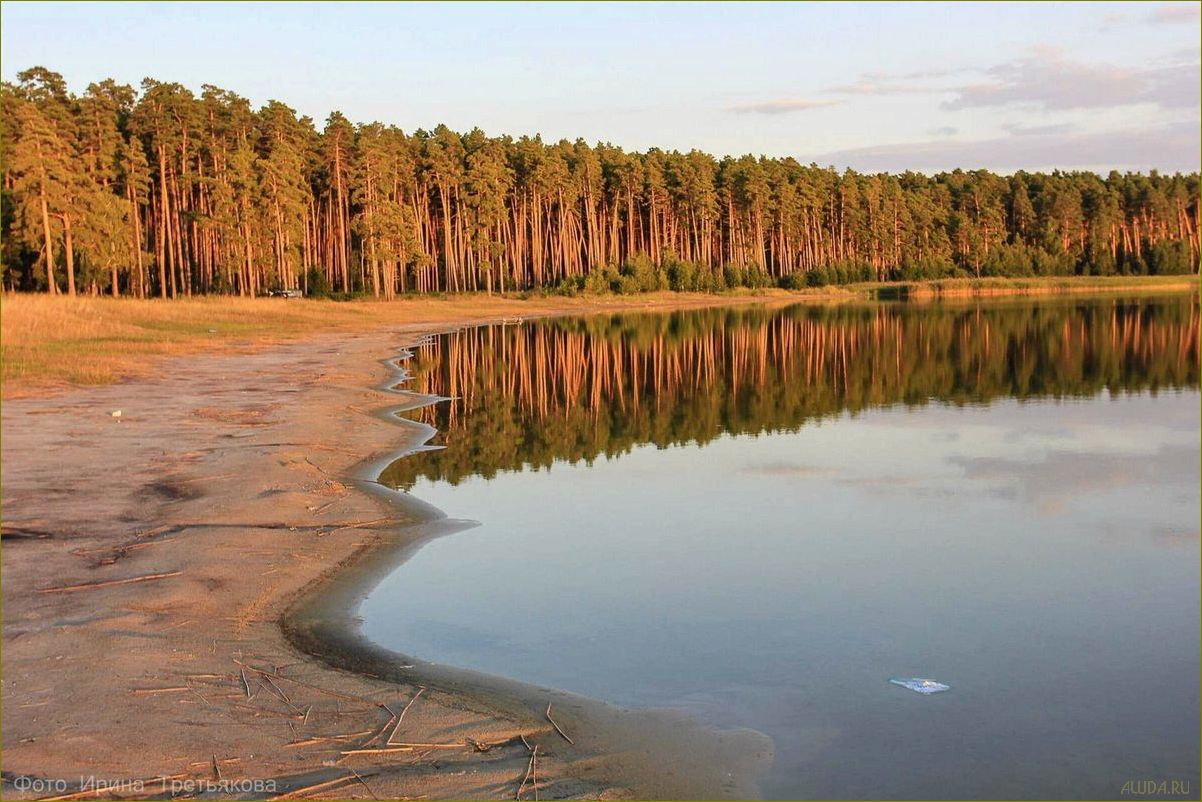 Озеро Лебяжье — идеальное место для отдыха в Курганской области