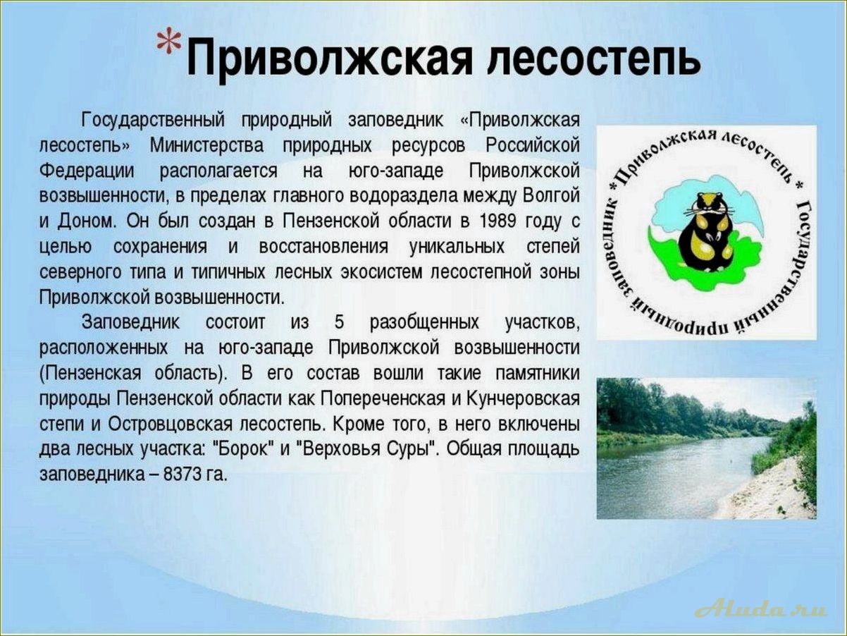 Удивительные природные достопримечательности Пензенской области, которые оставят вас безмолвными