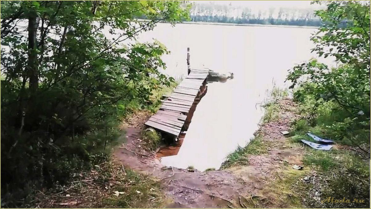 Село Ласково в Рязанской области — идеальная база отдыха для всей семьи