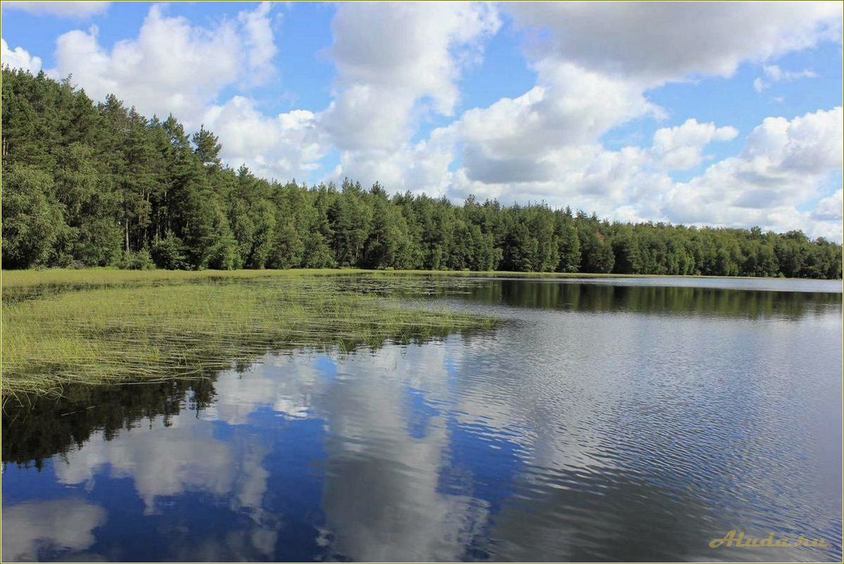 Село Ласково в Рязанской области — идеальная база отдыха для всей семьи