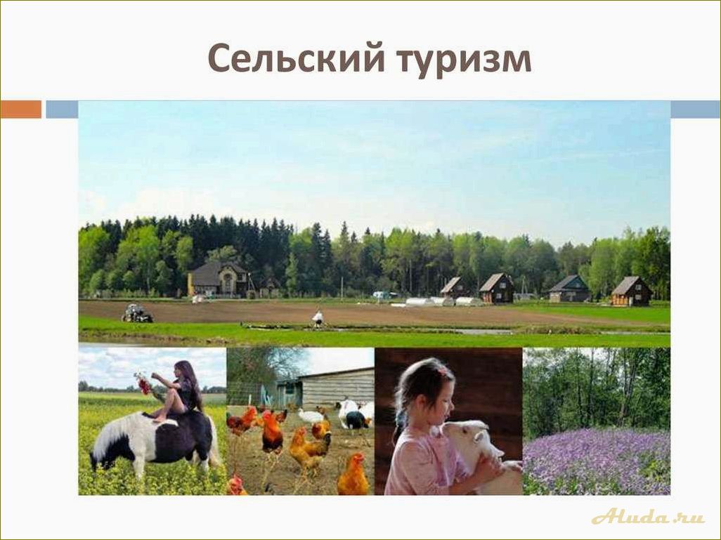 Сельский туризм в Новосибирской области — идеальный отдых на природе, близость к жизни сельского хозяйства и возможности активного отдыха