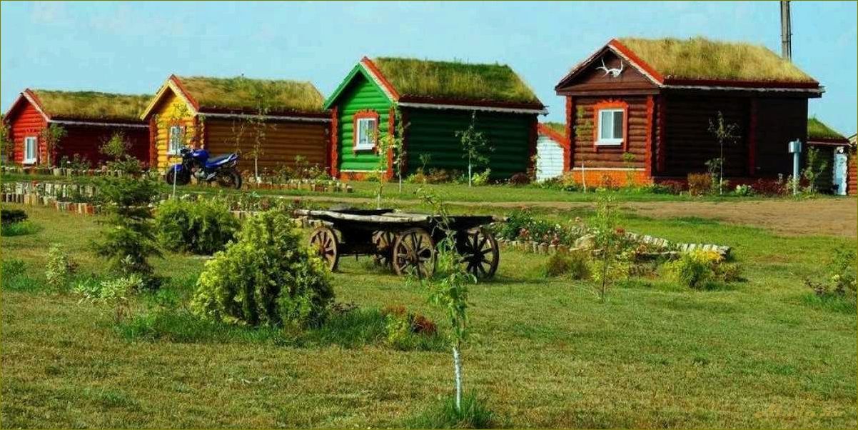 Сельский туризм в Новосибирской области — идеальный отдых на природе, близость к жизни сельского хозяйства и возможности активного отдыха