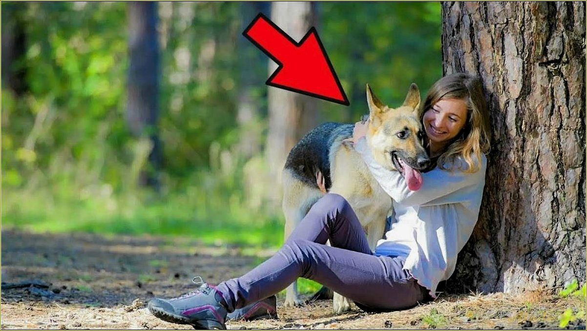 (отдых, собакой, смоленской, области, лучшие) Отдых с собакой в Смоленской области: лучшие места и возможности