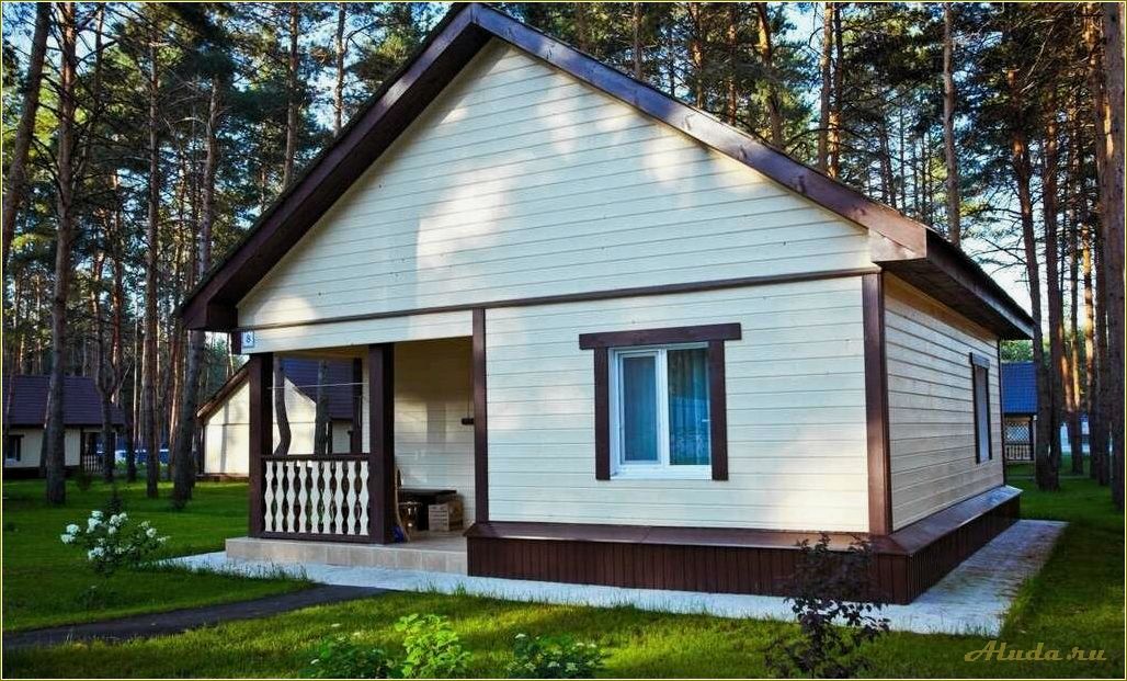 (старые, сосны, самарская, область, база) Старые сосны самарская область база отдыха — где насладиться природой и отдохнуть от городской суеты