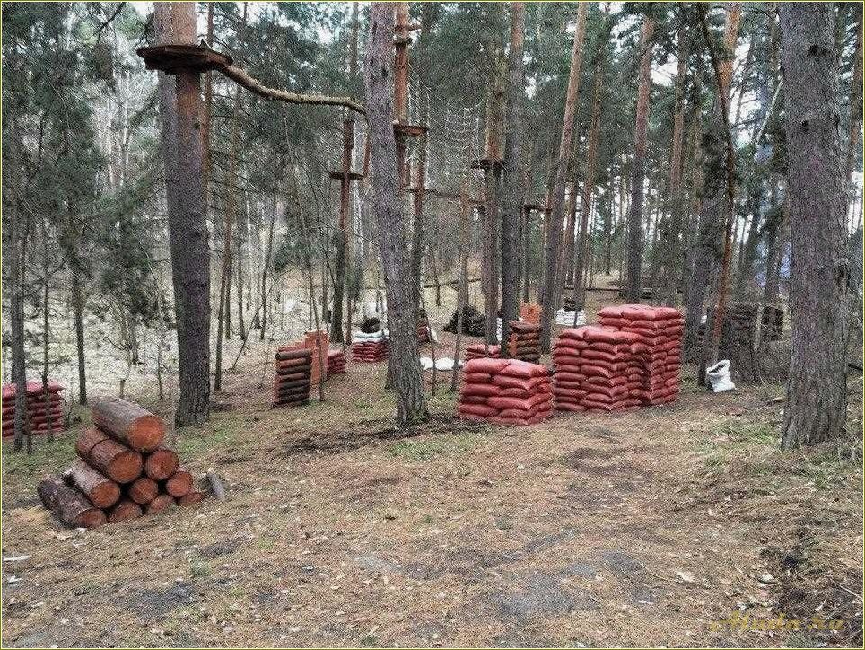 Тамбовская область: сосновый угол база отдыха
