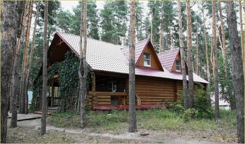 Тамбовская область: отдых у реки