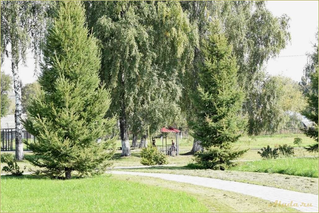 Тульская область: парк отдыха для всей семьи