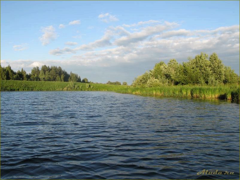 Тверская область: отдых на природе