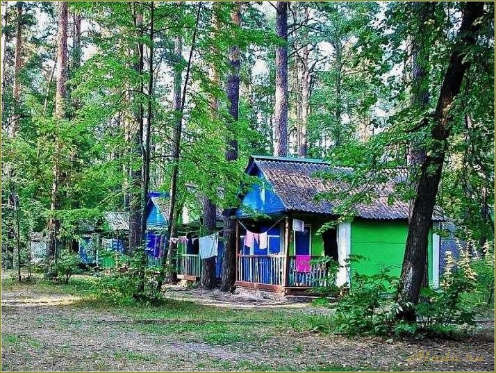 Ульяновская область, Николаевский район: Белое озеро — база отдыха