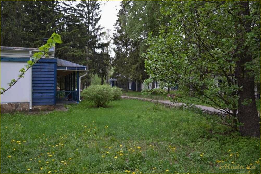 Узола база отдыха в Нижегородской области — идеальное место для семейного отдыха и активного времяпровождения