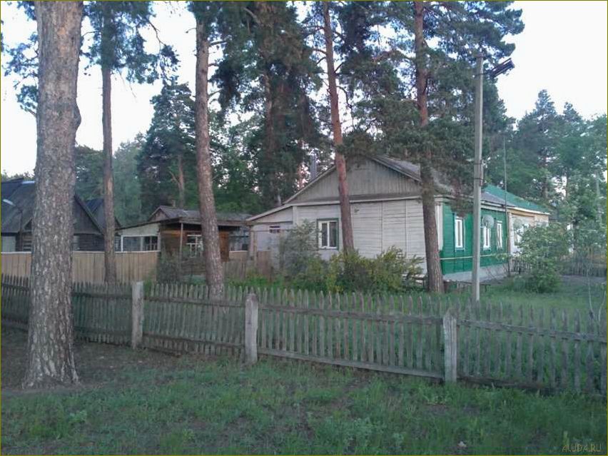 Варварино Воронежская область — путешествие в уникальное место для идеального отдыха и незабываемых впечатлений