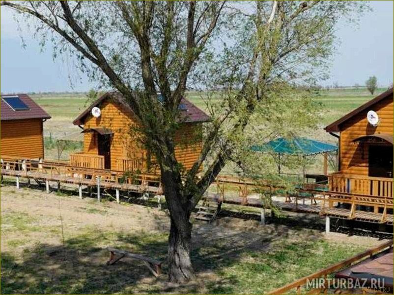 Лучшие базы отдыха Володарского района Астраханской области — выбираем идеальное место для отпуска