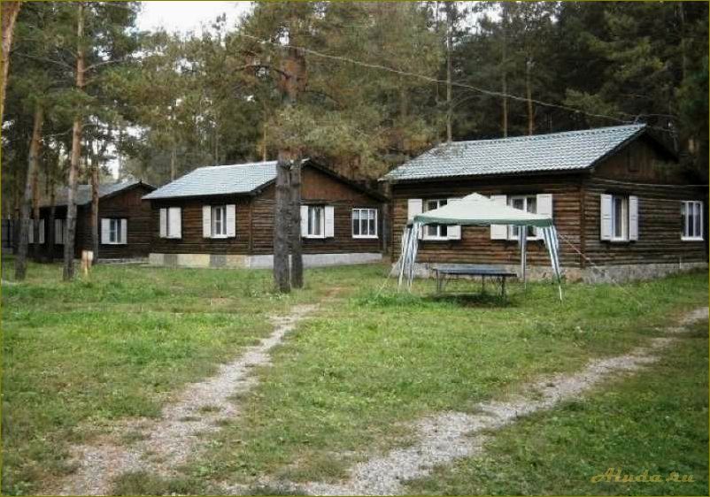Лучшие базы отдыха в Омской области — где провести незабываемые каникулы