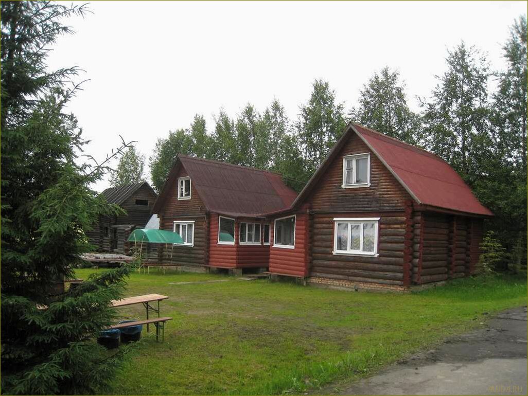 Зоны отдыха Вологодская область — путеводитель по самым прекрасным местам для отдыха и релаксации