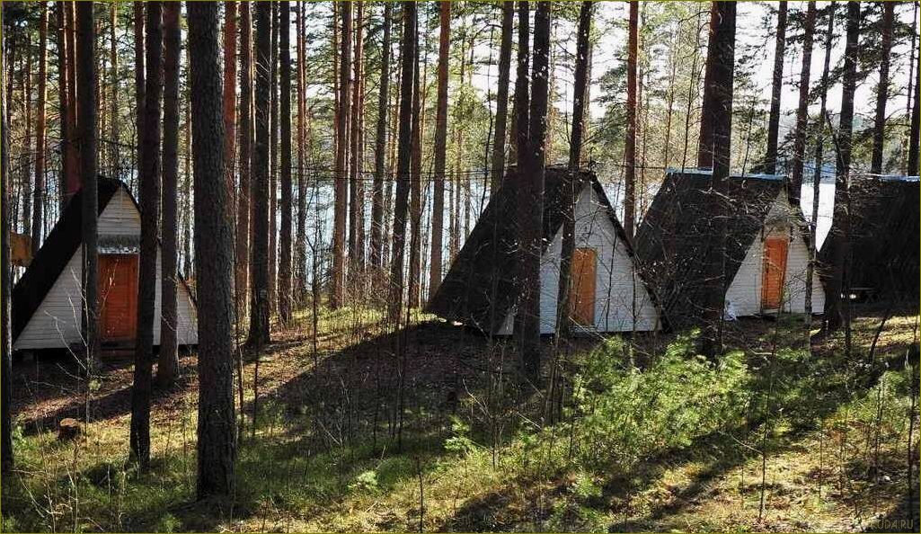 Уникальная база отдыха для молодежи в Ленинградской области — отличное место для активного отдыха и незабываемых впечатлений