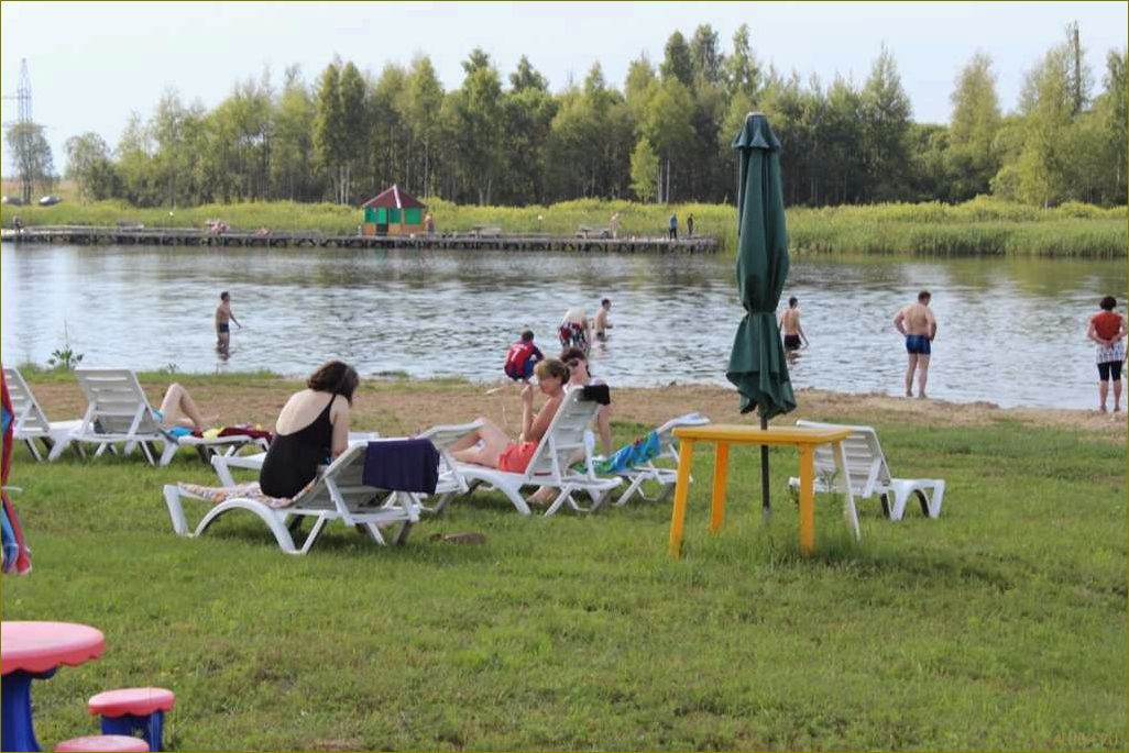 База отдыха в живописном приосколье Брянской области — идеальное место для отдыха и релаксации