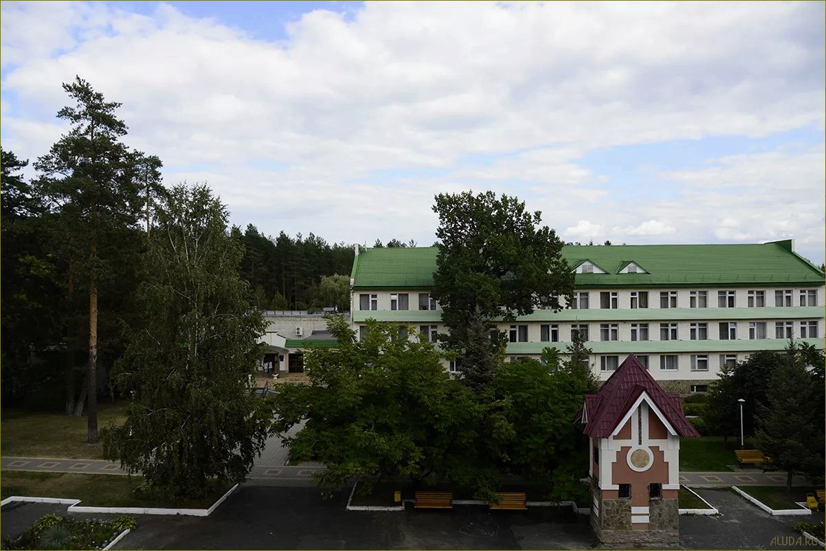 (база, отдыха, снежка, брянской, области) База отдыха