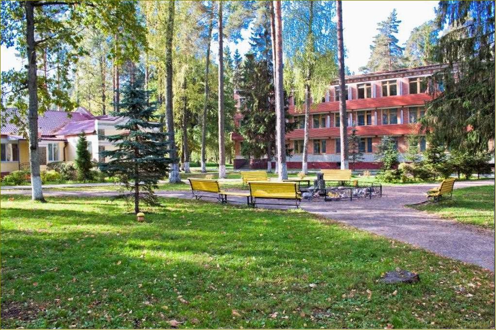 (база, отдыха, снежка, брянской, области) База отдыха