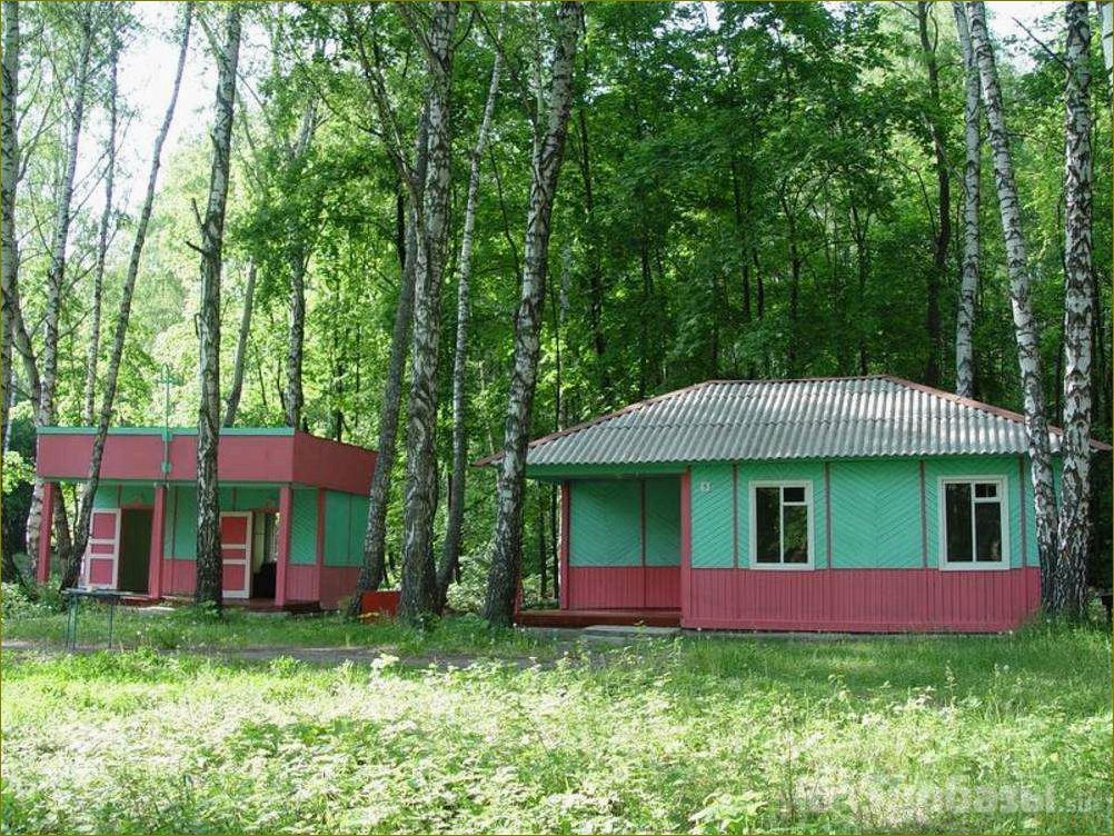 Лучшие базы отдыха в Задонске, Липецкой области — отпускайтесь в полной мере!