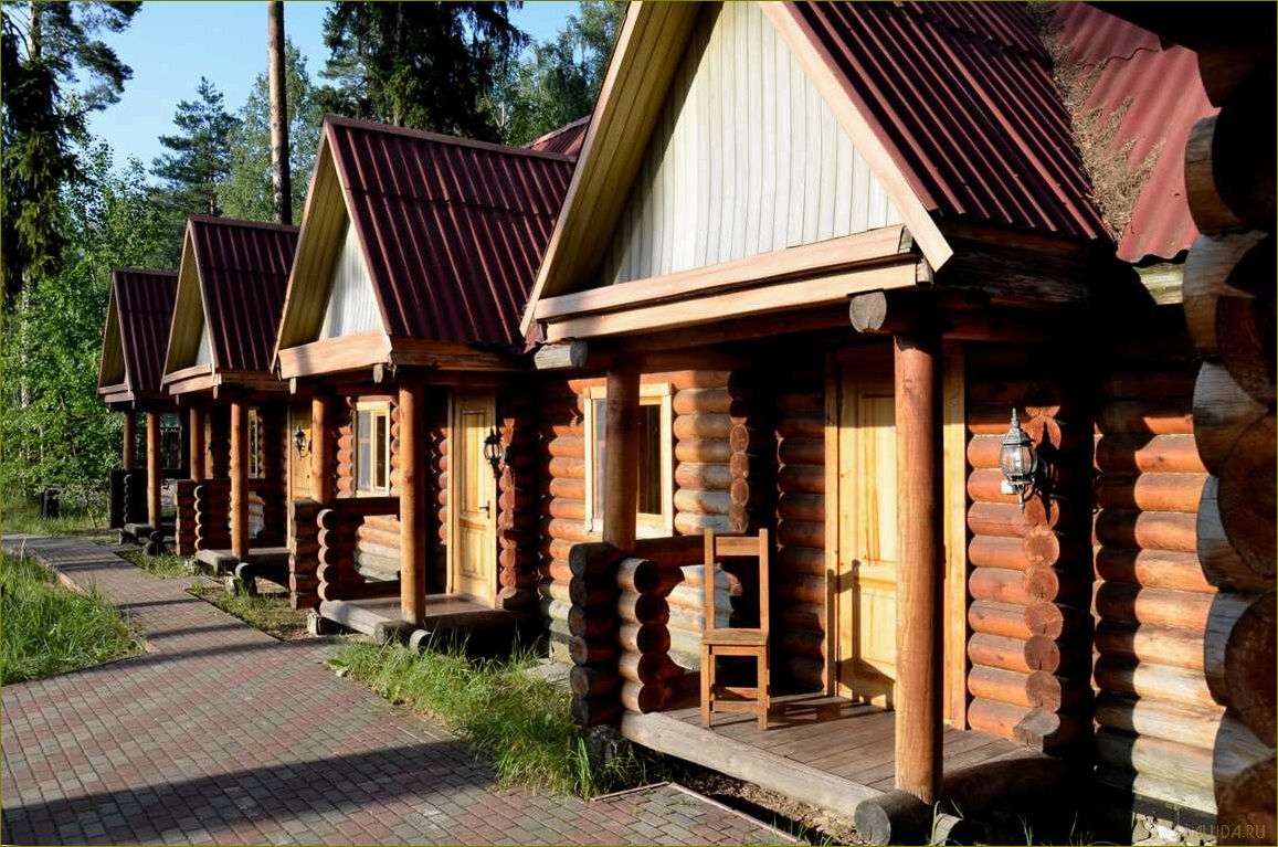 Брянская область — идеальное место для загородного отдыха в России