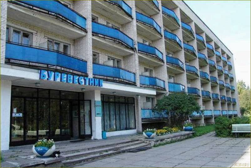 Буревестник база отдыха в Ленинградской области — идеальное место для отдыха и развлечений