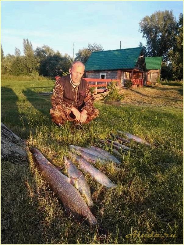 Чалково: томская область база отдыха