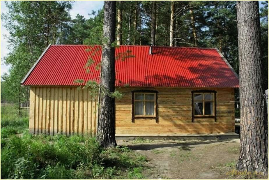 Отдых в Чертанах: база отдыха в Томской области
