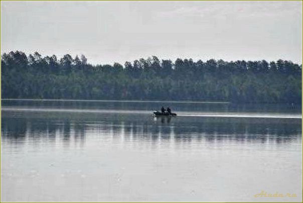 Отдых в Чертанах: база отдыха в Томской области