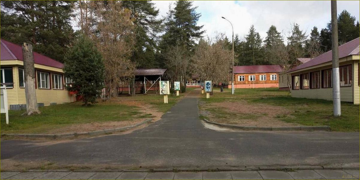 Лучшие детские лагеря отдыха в Кировской области — где отправить ребенка на незабываемые каникулы в природе