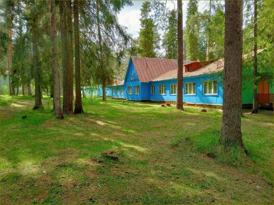 Лучшие детские лагеря отдыха в Кировской области — где отправить ребенка на незабываемые каникулы в природе