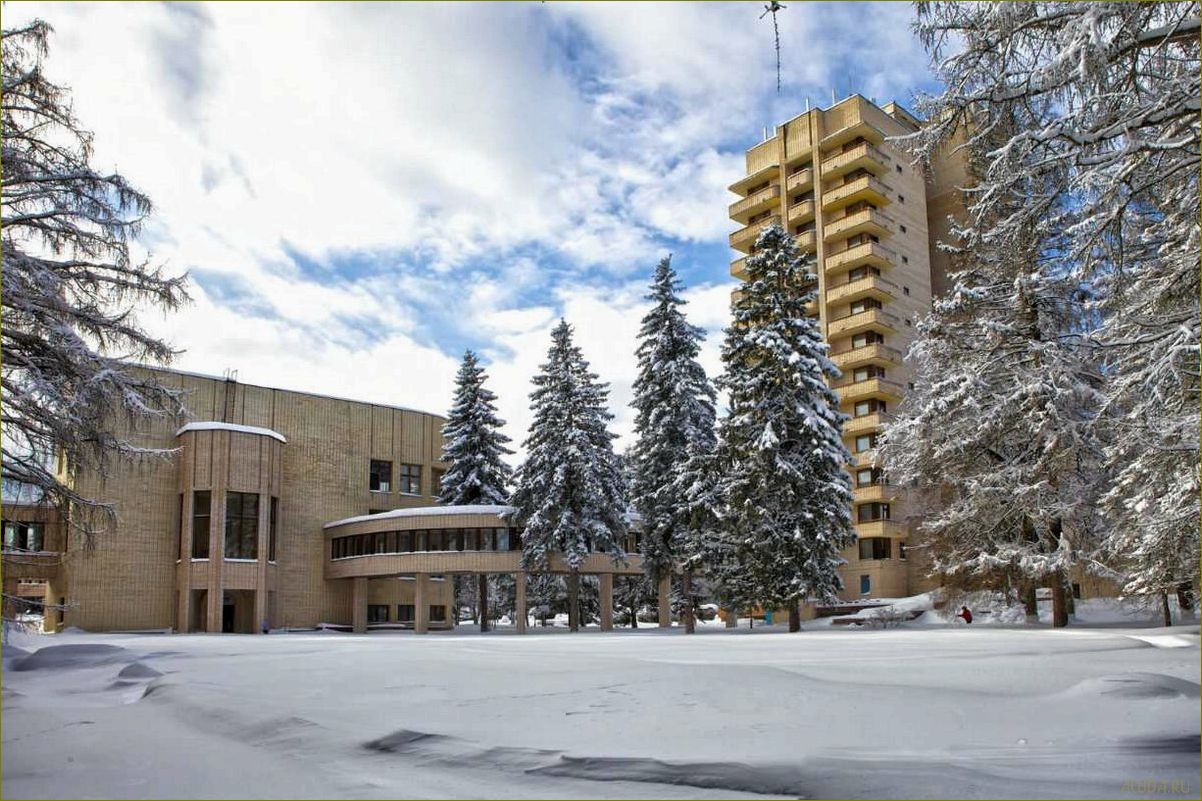 Уникальный дом отдыха в окружении природы Пушкинского района Московской области — идеальное место для релаксации и восстановления сил