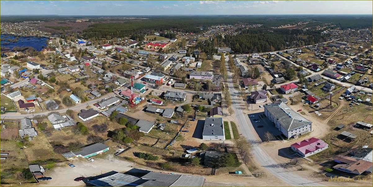 Хвойные красоты Новгородской области — великолепие природы и уникальные достопримечательности