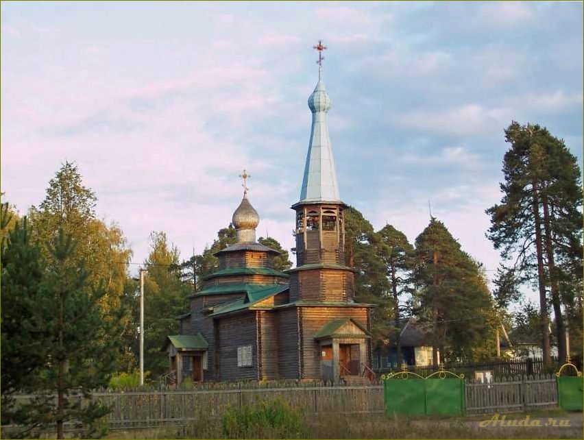 Хвойные красоты Новгородской области — великолепие природы и уникальные достопримечательности