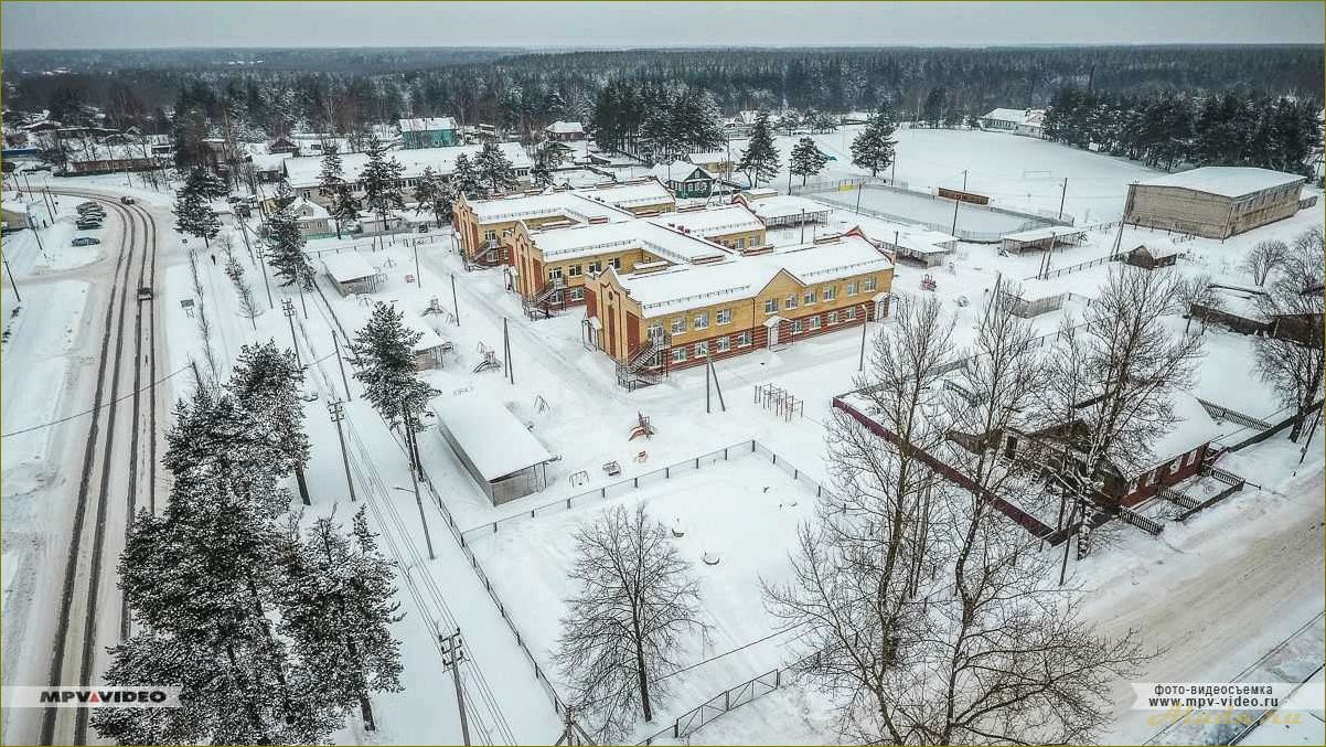 Хвойные красоты Новгородской области — великолепие природы и уникальные достопримечательности