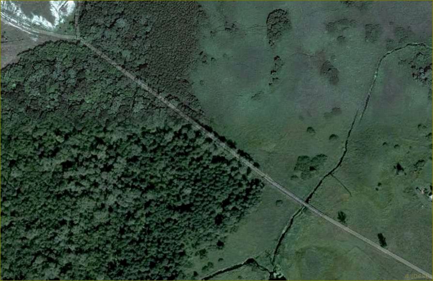 Кривцово база отдыха в Белгородской области — отличный выбор для комфортного и разнообразного отдыха