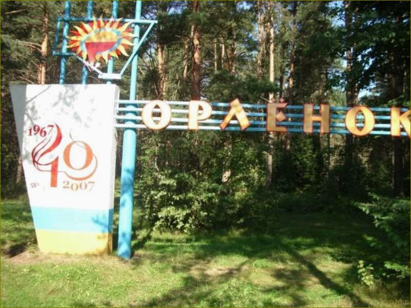 Лагерь отдыха в Вологодской области — идеальное место для активного отдыха и развития детей