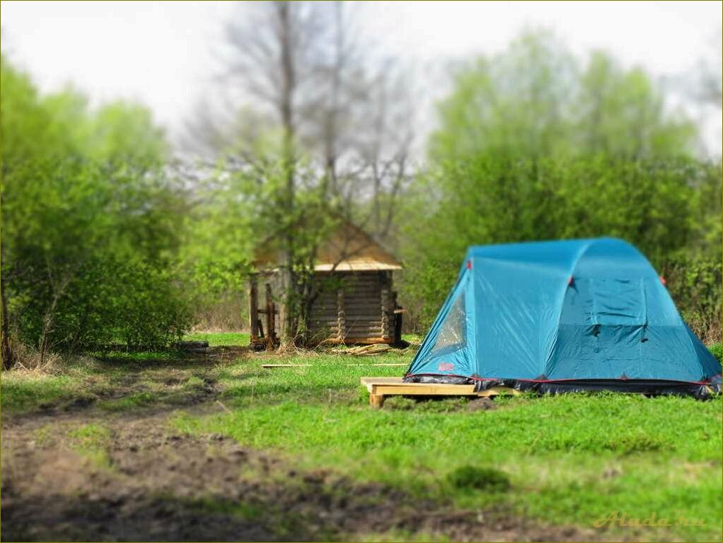 Отдых в палатке в живописной Новгородской области — идеальное место для релакса на природе