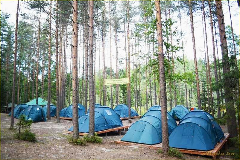 Отдых в палатке в живописной Новгородской области — идеальное место для релакса на природе