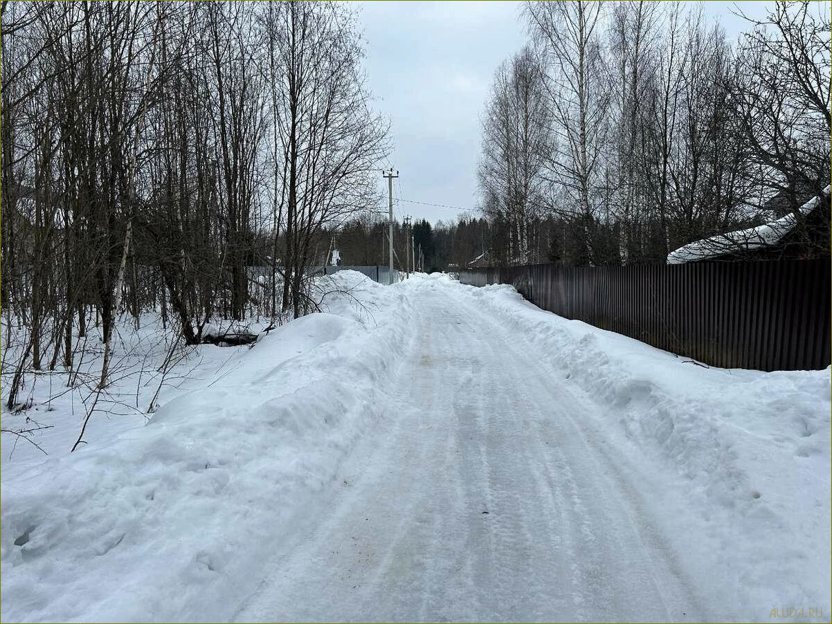 Насладитесь идеальным отдыхом в окрестностях Владимирской области — открытые просторы природы, исторические достопримечательности и уникальная атмосфера
