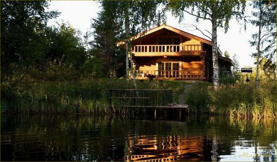 Отдых с собакой в Новгородской области — лучшие места для активного времяпровождения с питомцем