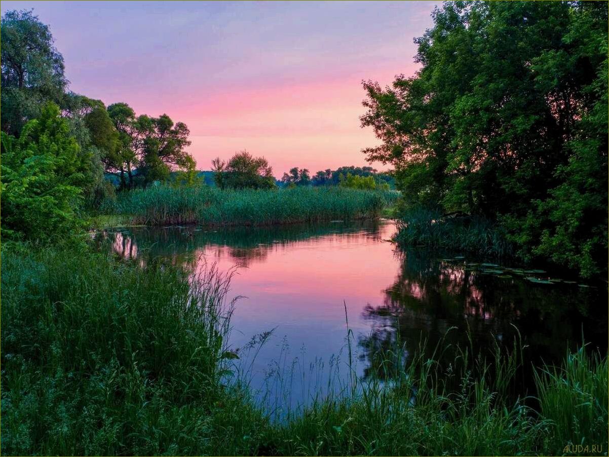 (псел, белгородская, область, отдых, природе) Псел Белгородская область — отдых на природе, прекрасные пейзажи, удивительные возможности для активного отдыха и полное расслабление