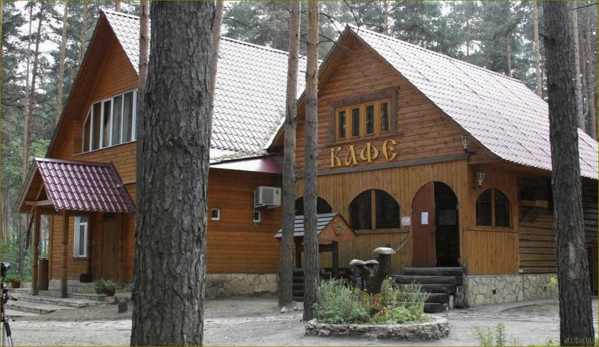 Россия Липецкая область Грязинский район — база отдыха 