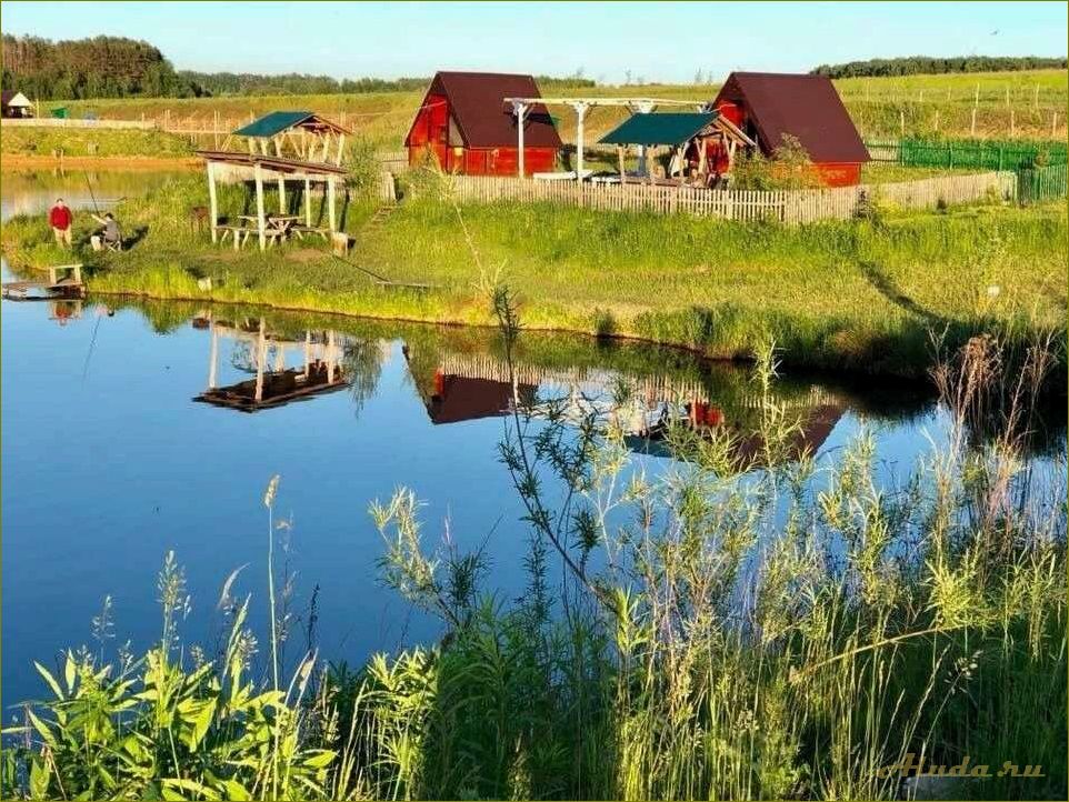 Сабурово — орловская область идеальное место для базы отдыха