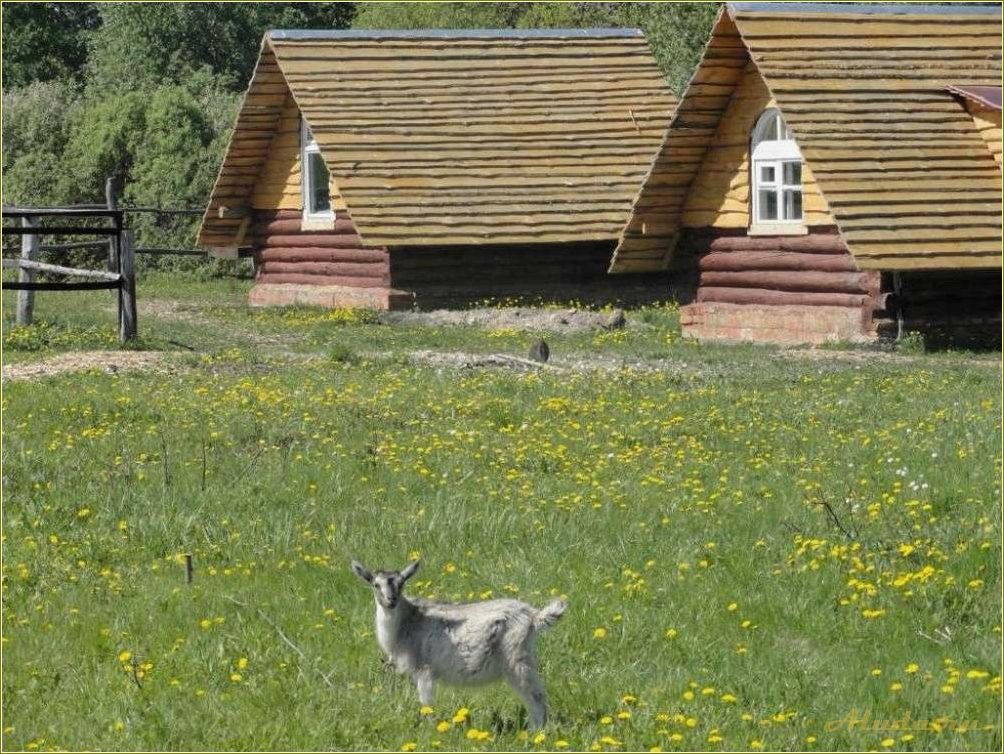 Сельский туризм в Пензенской области — откройте для себя уникальные природные и культурные богатства региона