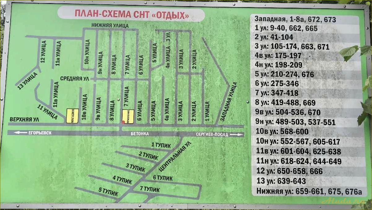 СНТ Отдых в Новосибирской области — отличный выбор для семейного отдыха и активного времяпрепровождения