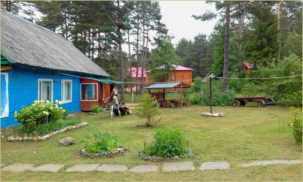 Аренда уютного домика для отдыха в живописной Псковской области — насладитесь природой и историей!