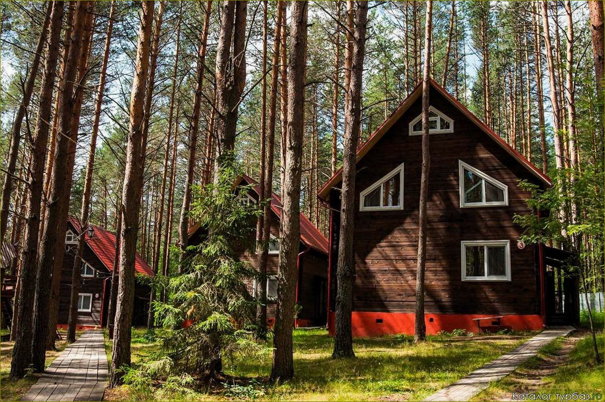 Сосновый база отдыха в Нижегородской области — идеальное место для отдыха на природе